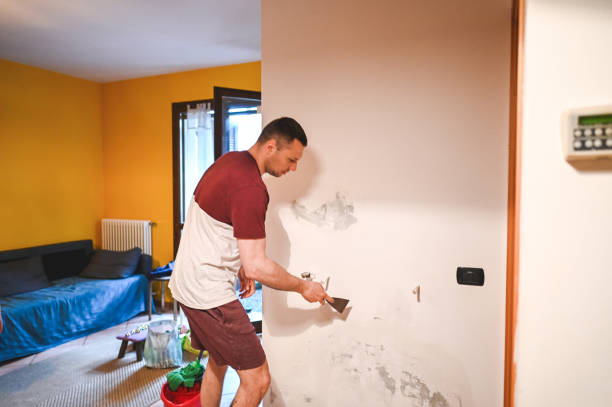 Best Residential Mold Remediation in Rollingwood, TX
